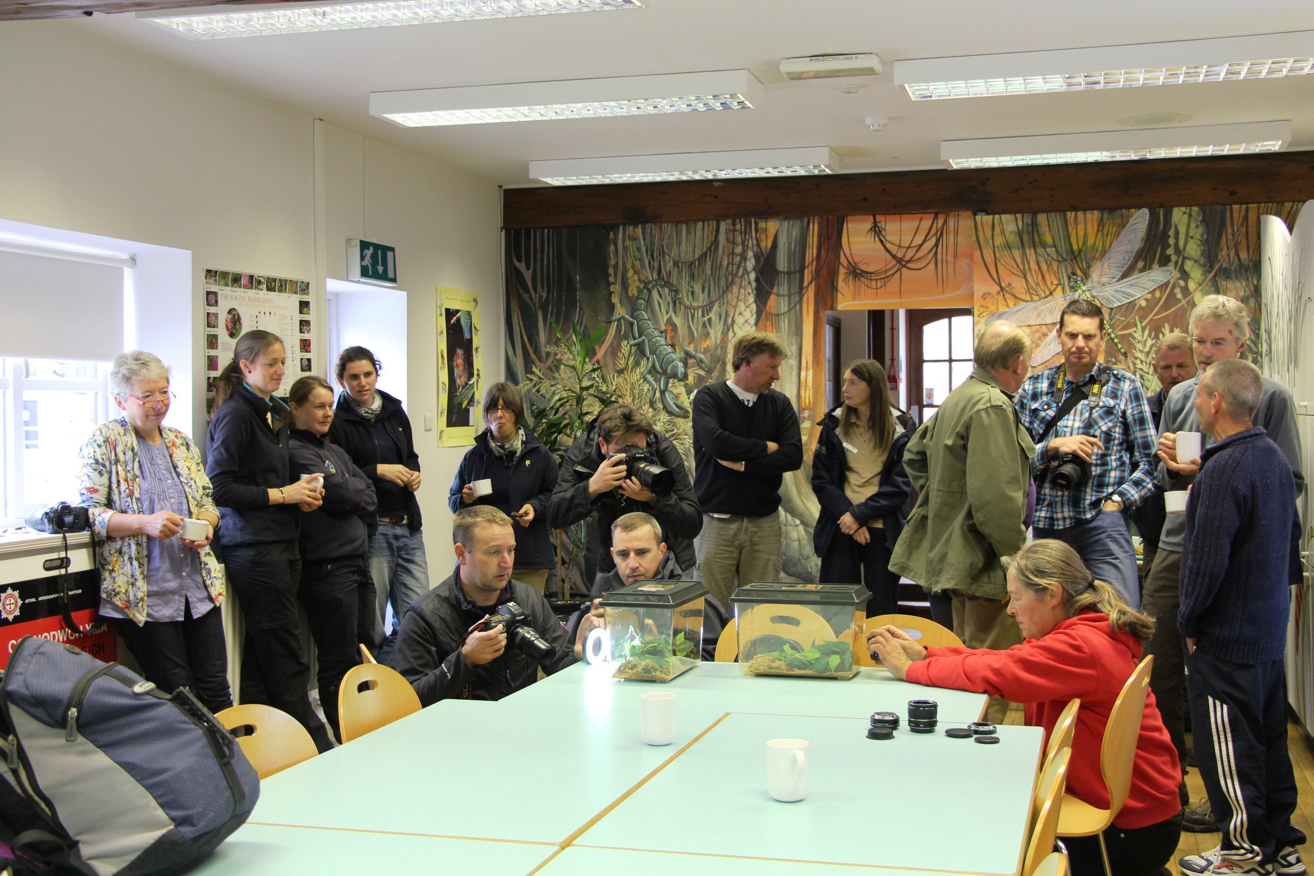 A crowd gathers to photograph the stars of the show