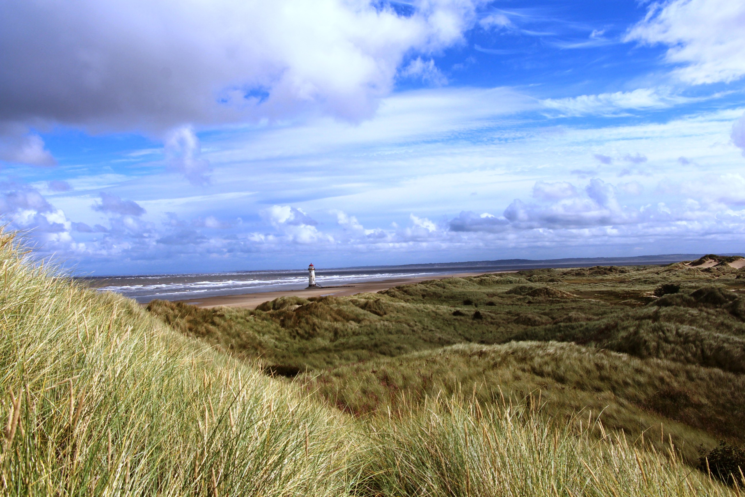 The sand dunes at Talacre - the lizards’ beautiful new home