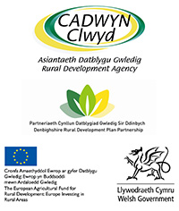 Accessible Denbighshire project funders