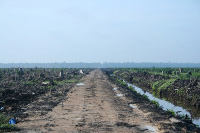 Indonesia deforestation