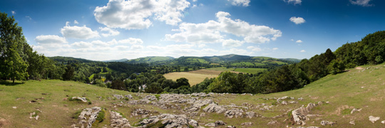 Clwydian Range Loggerheads