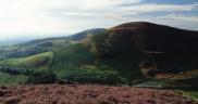Y Grug a'r Caerau