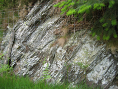 Maerdy Mudstone